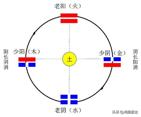 燕子寓意 運動 五行